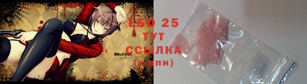 дмт Аркадак