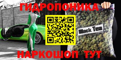 спиды Ачхой-Мартан