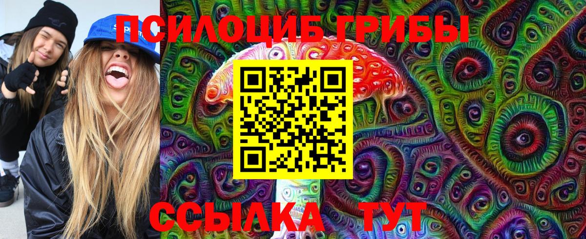 Псилоцибиновые грибы мухоморы Новомосковск