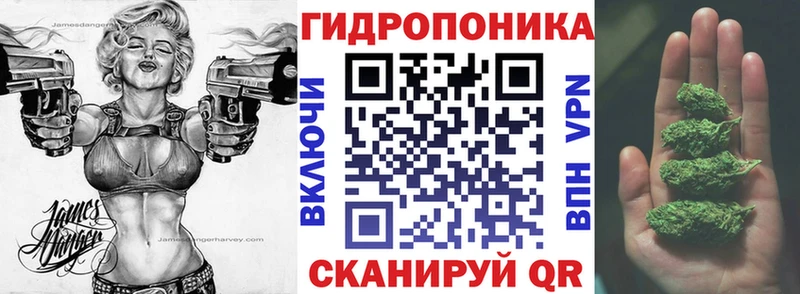 купить наркоту  Новомосковск  OMG ССЫЛКА  Шишки марихуана конопля 