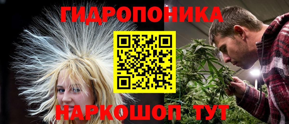 Бошки Шишки гибрид Новомосковск